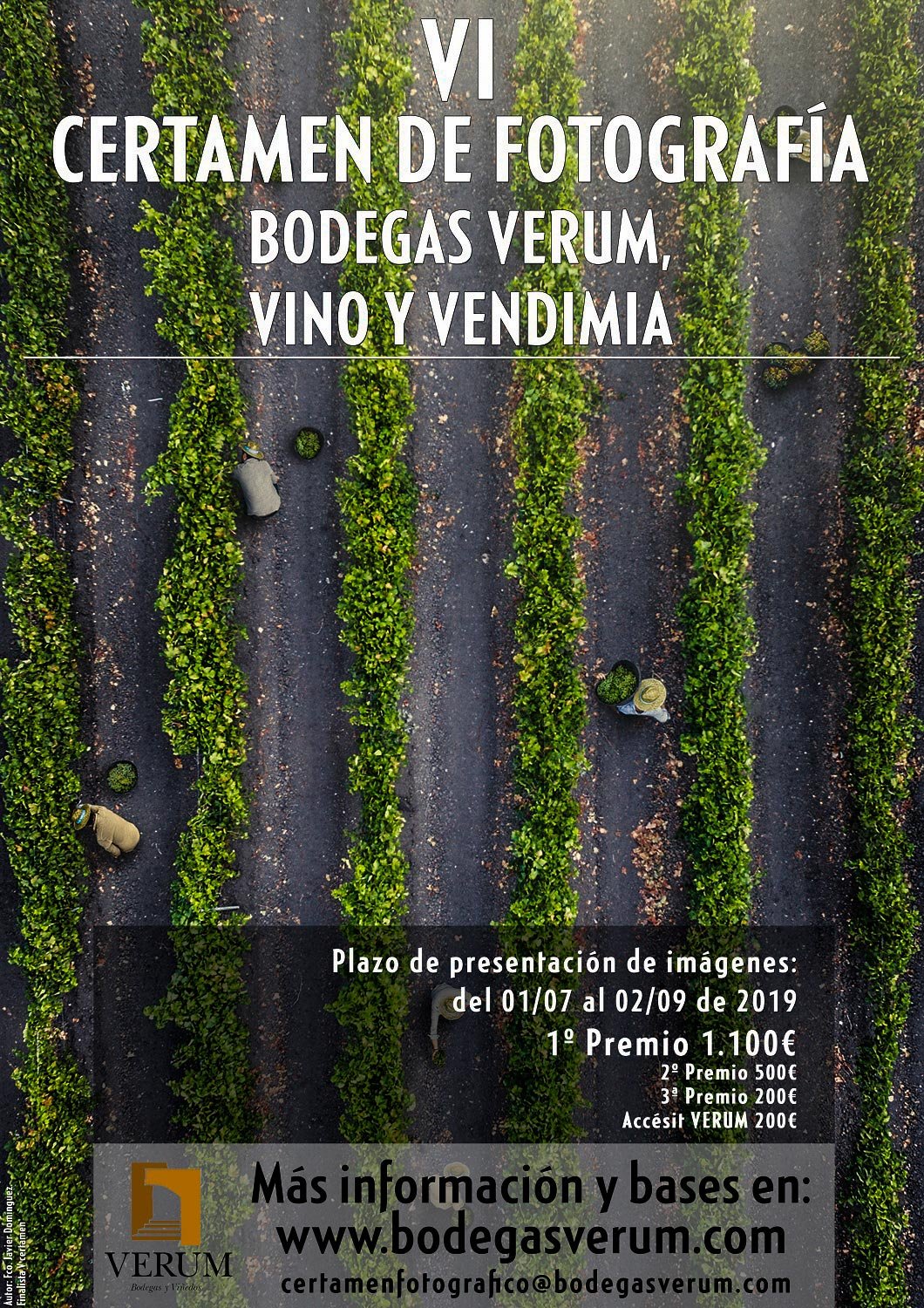 Un premio de 1.100€ para el ganador del VI Certamen de Fotografía Bodegas Verum, Vino y Vendimia