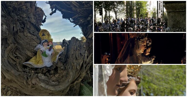 Fallados los premios del XIX Maratón Fotográfico «Romería en Tomelloso»