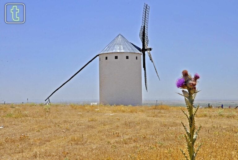 Molinos y verano
