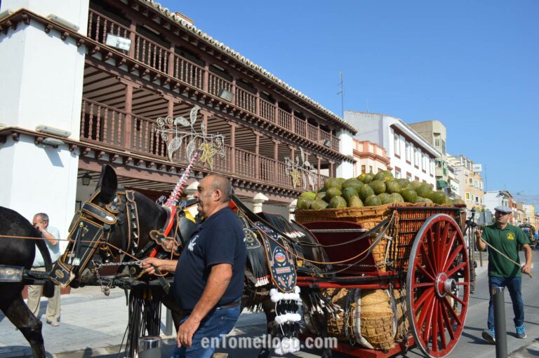 Las mulas y reatas recorren Tomelloso