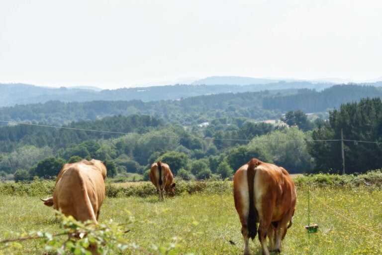 De vuelta en Galicia en Monforte de Lemos y el Geoparque de O Courel