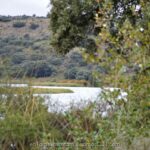 Las Lagunas de Ruidera vuelven a rebosar agua