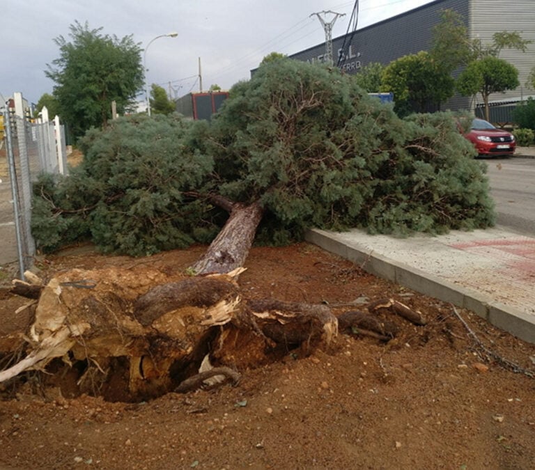 El 112 registra hasta 30 incidencias en dos horas, la mayoría en Valdepeñas, causadas por la lluvia