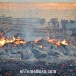 Un incendio de grandes dimensiones afecta a los exteriores de la Cooperativa Santiago Apóstol de Tomelloso