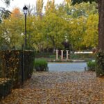 Un paseo por el Parque de la Constitución de Tomelloso en otoño