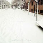 La gran nevada de diciembre de 2009 en Tomelloso