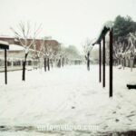 La gran nevada de diciembre de 2009 en Tomelloso