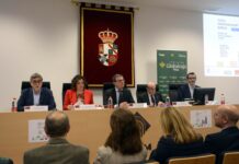 Emprender en sectores «en los que no hay mucha competencia», clave para que Castilla-La Mancha avance