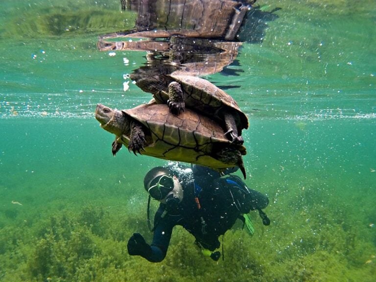 ‘Ruidera Activa’ preparados para ofrecerte el mejor plan en la naturaleza, cuando todo pase