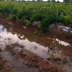 Una tormenta de agua y granizo deja calles inundadas en Socuéllamos