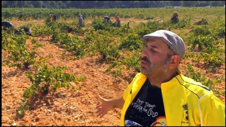 «Toca Vendimiar», el nuevo vídeo de Agustín Durán parodiando el «Waka Waka» de Shakira