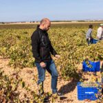 La apuesta por la recuperación de variedades autóctonas de Bodegas Verum lleva a la uva airén a lo más alto