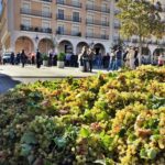 ASAJA visibiliza los bajos precios de la uva tirando un remolque de uvas en la plaza de Socuéllamos