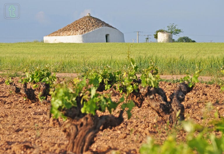 Conocer Tomelloso: Los bombos