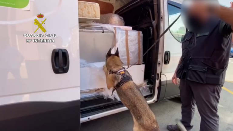 Desde Villarrubia de los Ojos a Europa: detenidas 14 personas por tráfico de drogas