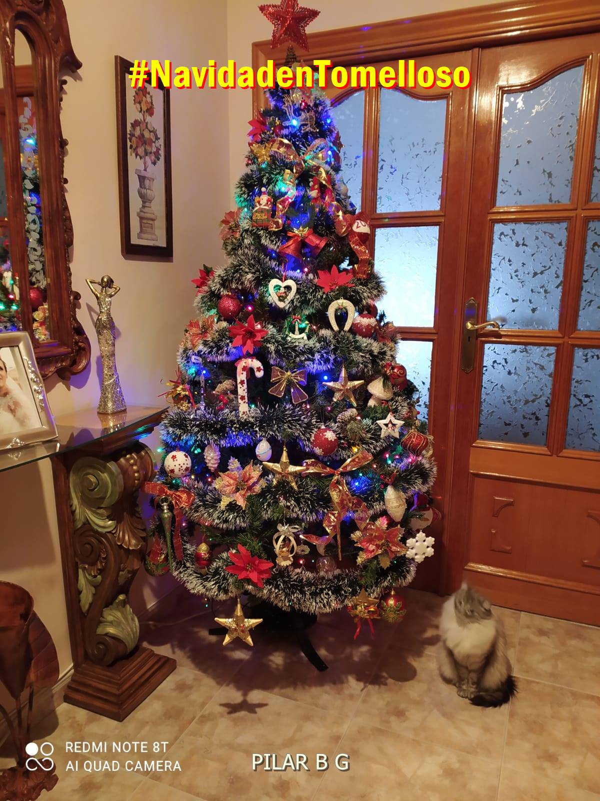 Los árboles de la Navidad 2020 de Tomelloso