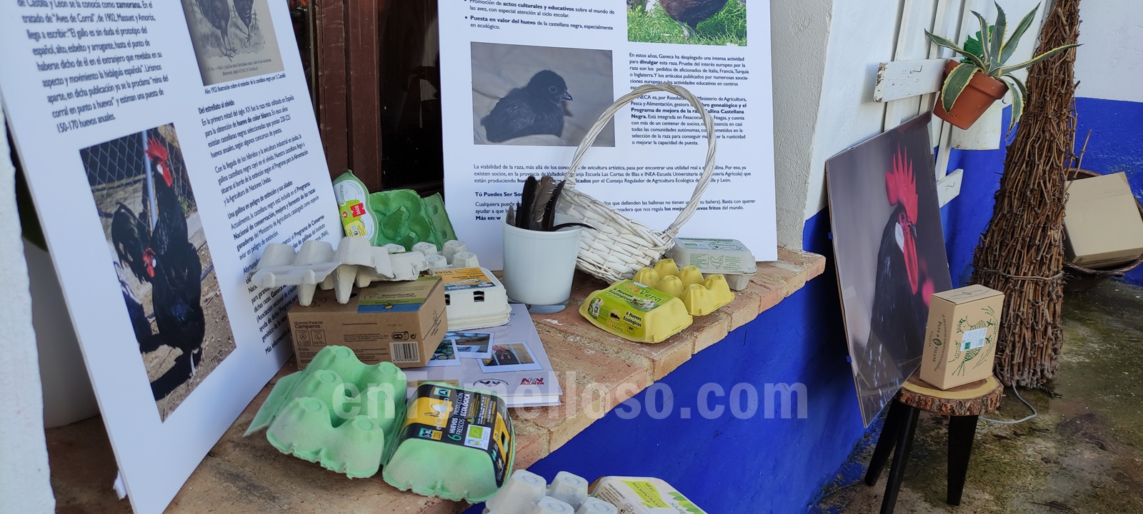 "La Barja" un proyecto de avicultura ecológica y de calidad en Tomelloso