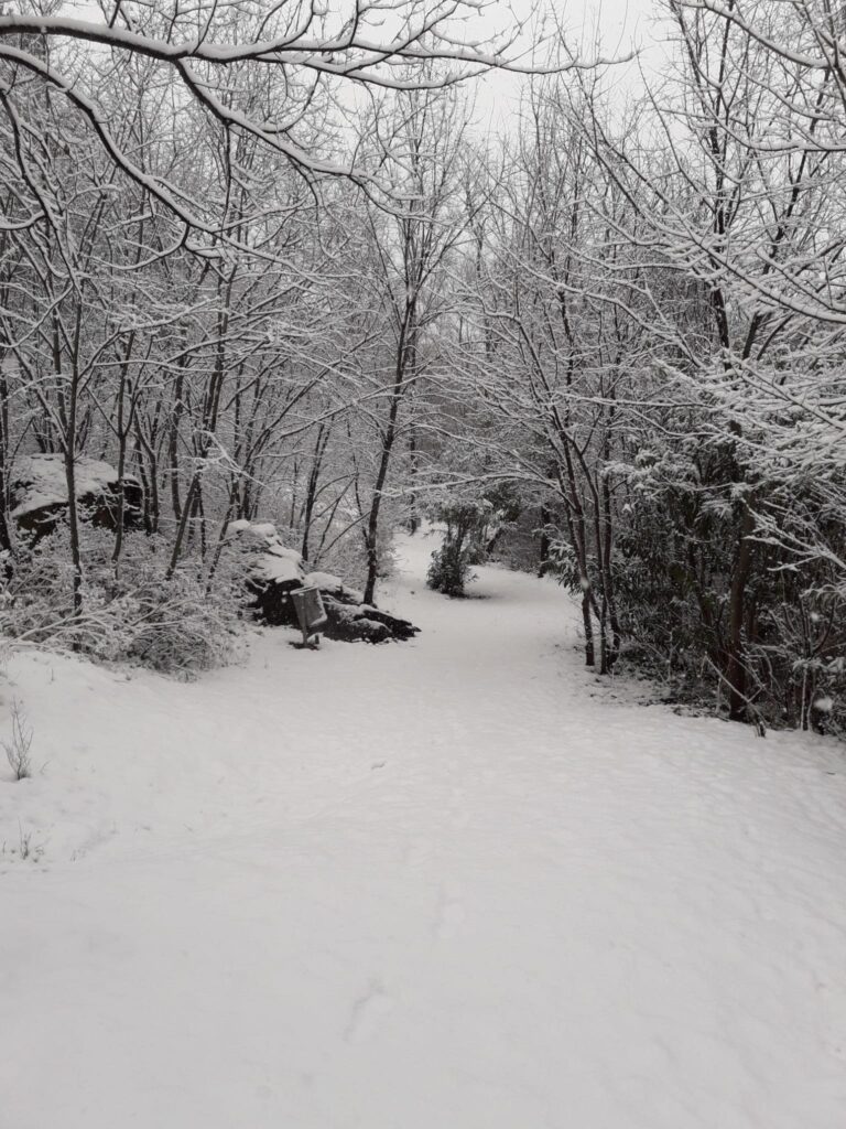Más de 600 vecinos de la provincia de Toledo sufren cortes de luz
