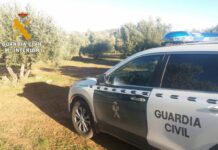 La Guardia Civil investiga a dos personas por el robo de aceituna en Castellar de Santiago