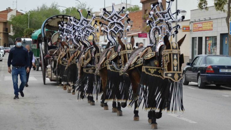 Los carreros de Tomelloso no faltan a la cita con la Romería este 2021