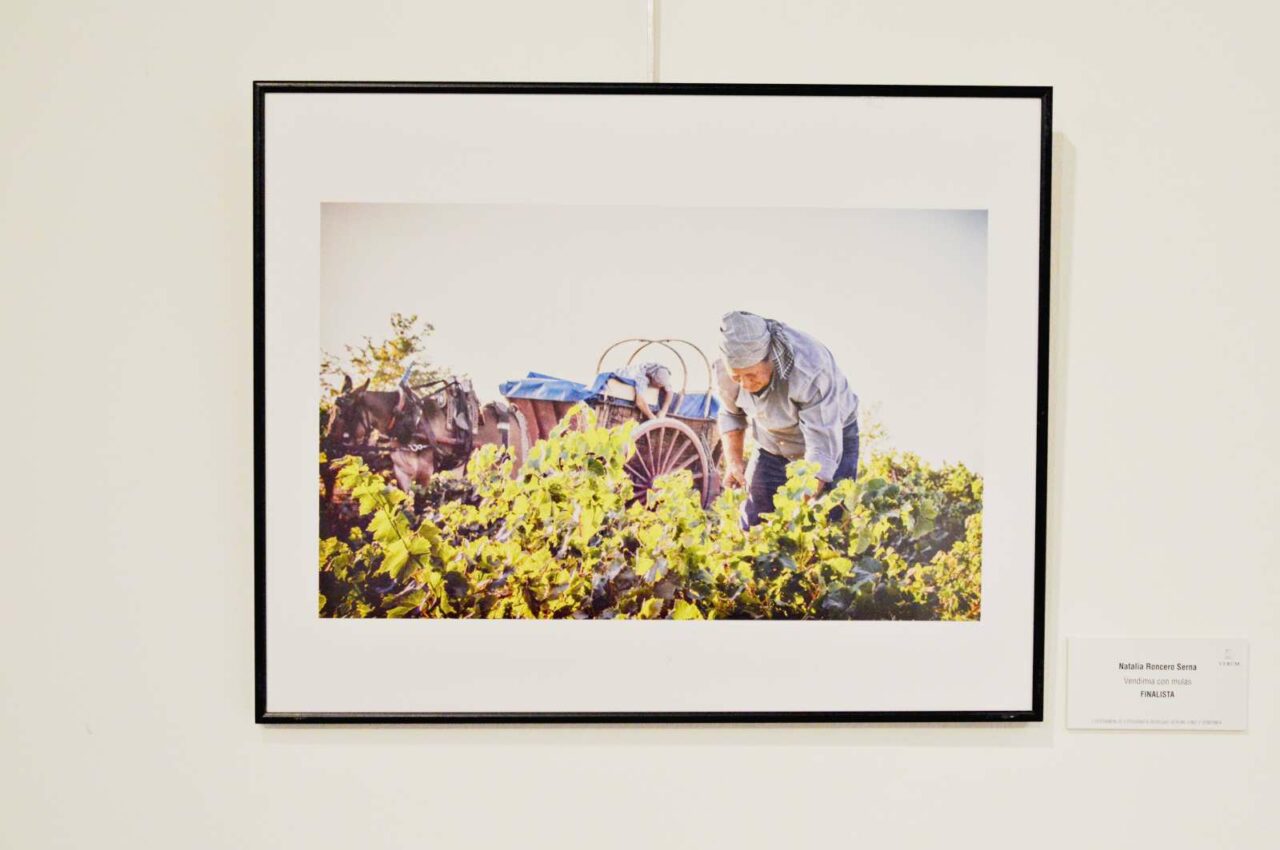 Bodegas Verum nos trae “Los oficios del vino”, la visión humana de nuestro bien más preciado