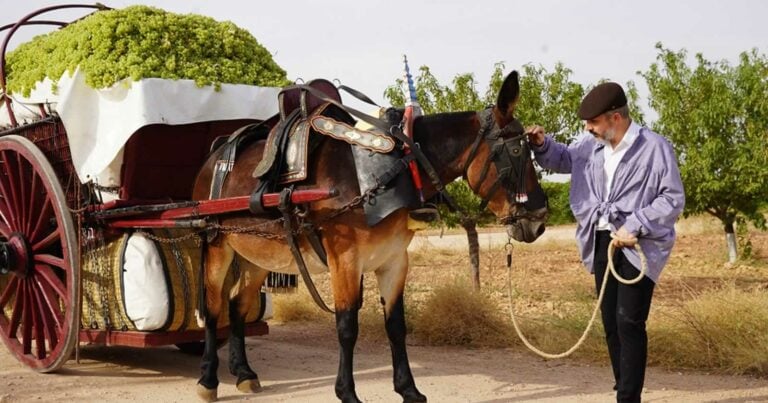 Las cuevas y los carreros de Tomelloso, protagonistas del último spot de la DO La Mancha
