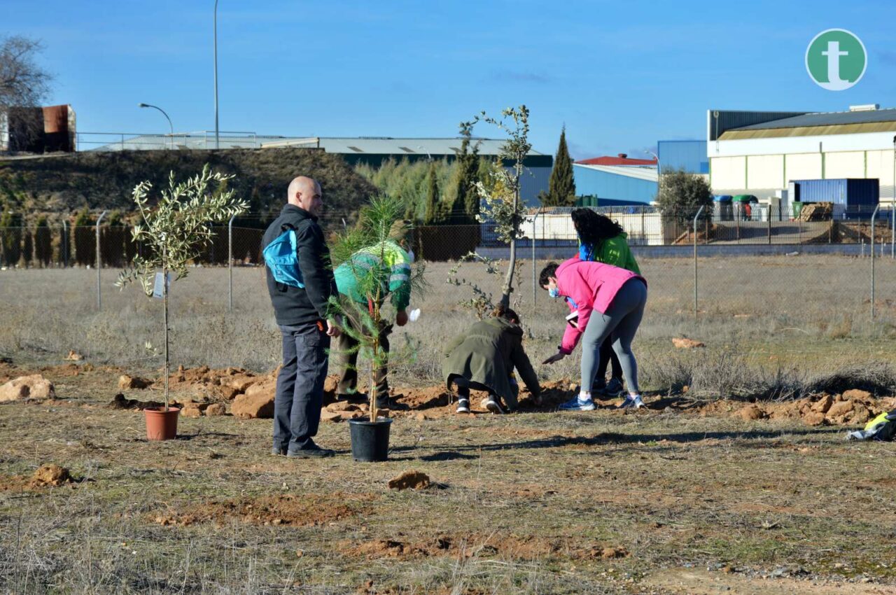 Asociaciones, centros escolares y vecinos de Tomelloso se vuelcan en la Jornada de Reforestación
