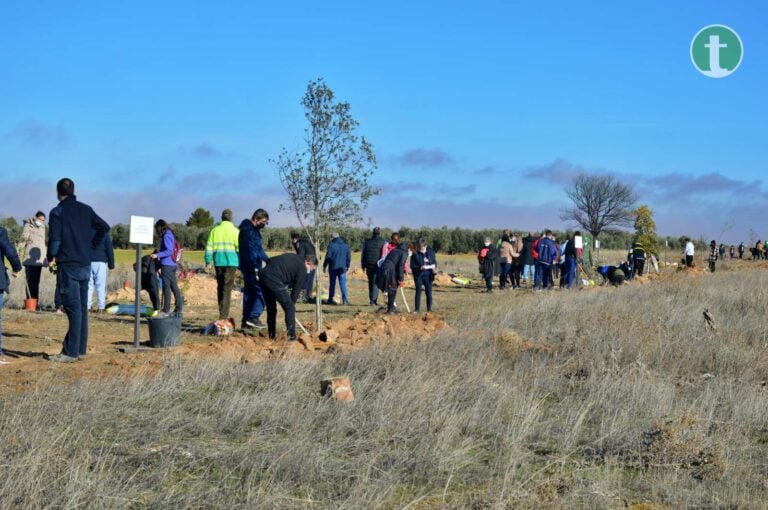 Asociaciones, centros escolares y vecinos de Tomelloso se vuelcan en la Jornada de Reforestación