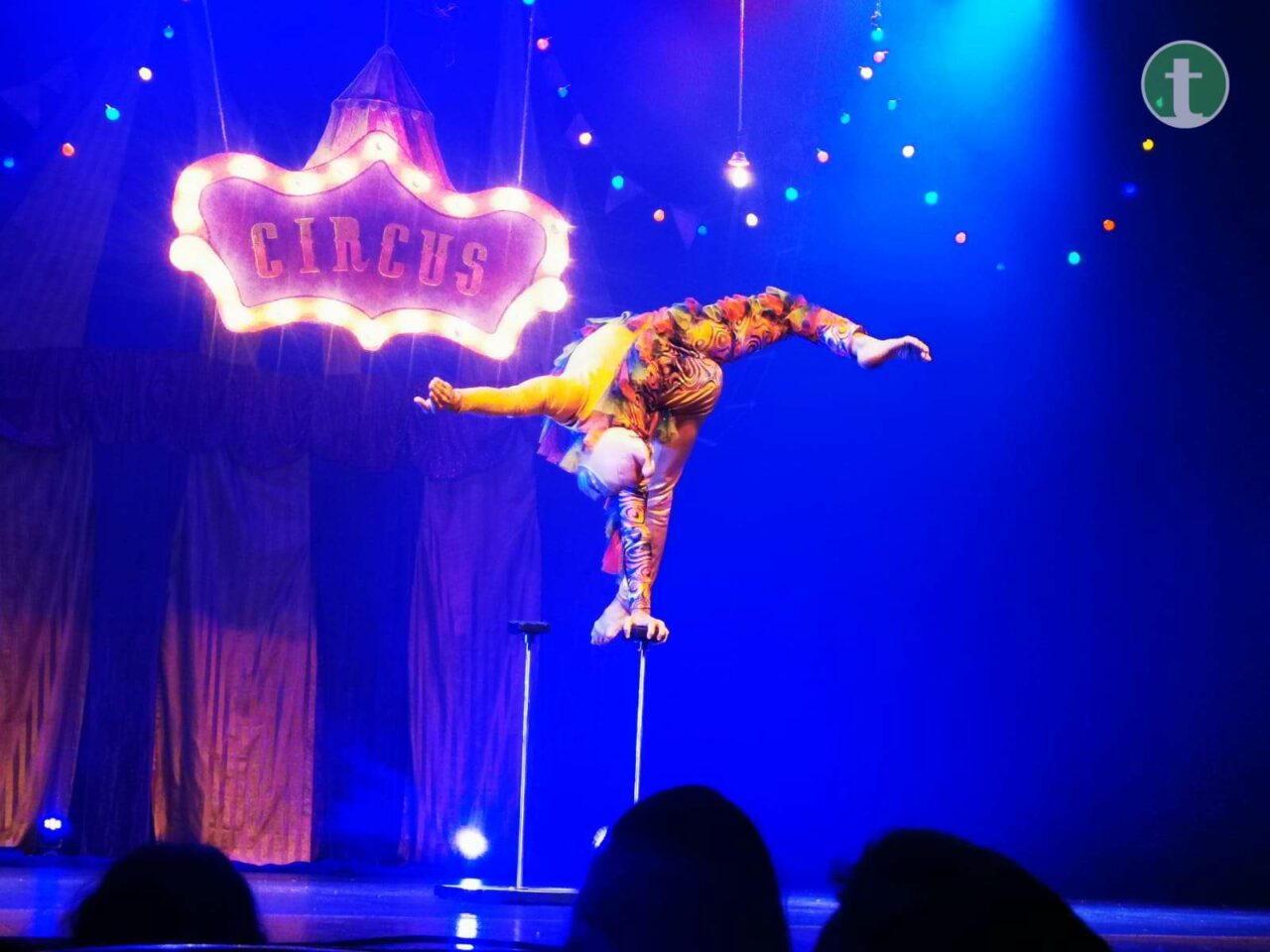 Gran vestuario, números de circo y sobre todo inclusión en el espectáculo "Dumbo" en Tomelloso