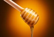 La miel, una alternativa frente a bacterias resistentes a antibióticos