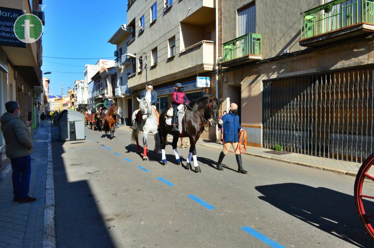 Este domingo se ha celebrado el ya tradicional desfile de animales de San Antón