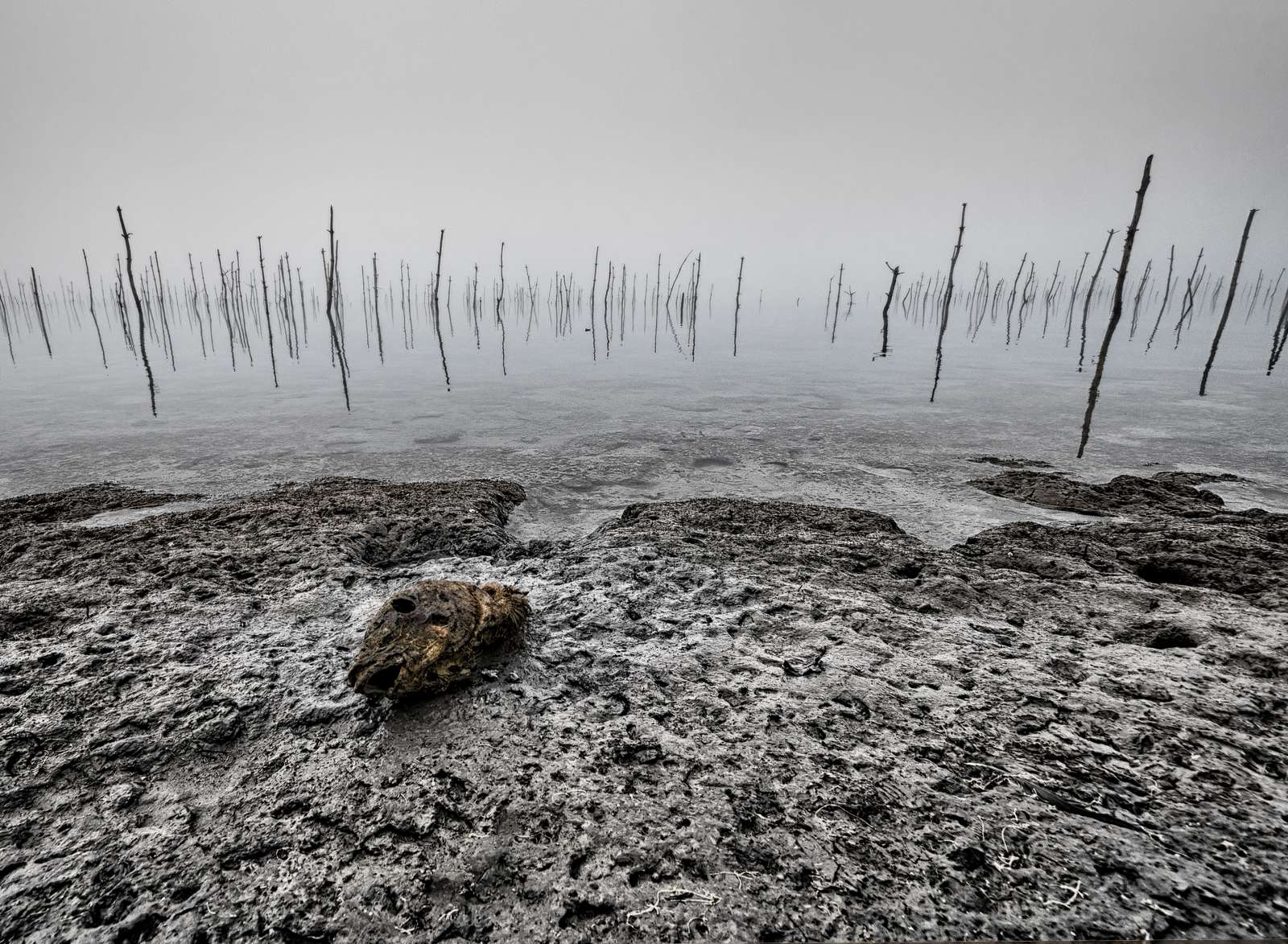 Estas son las fotografías premiadas en el concurso "El agua y la vida" de Argamasilla de Alba