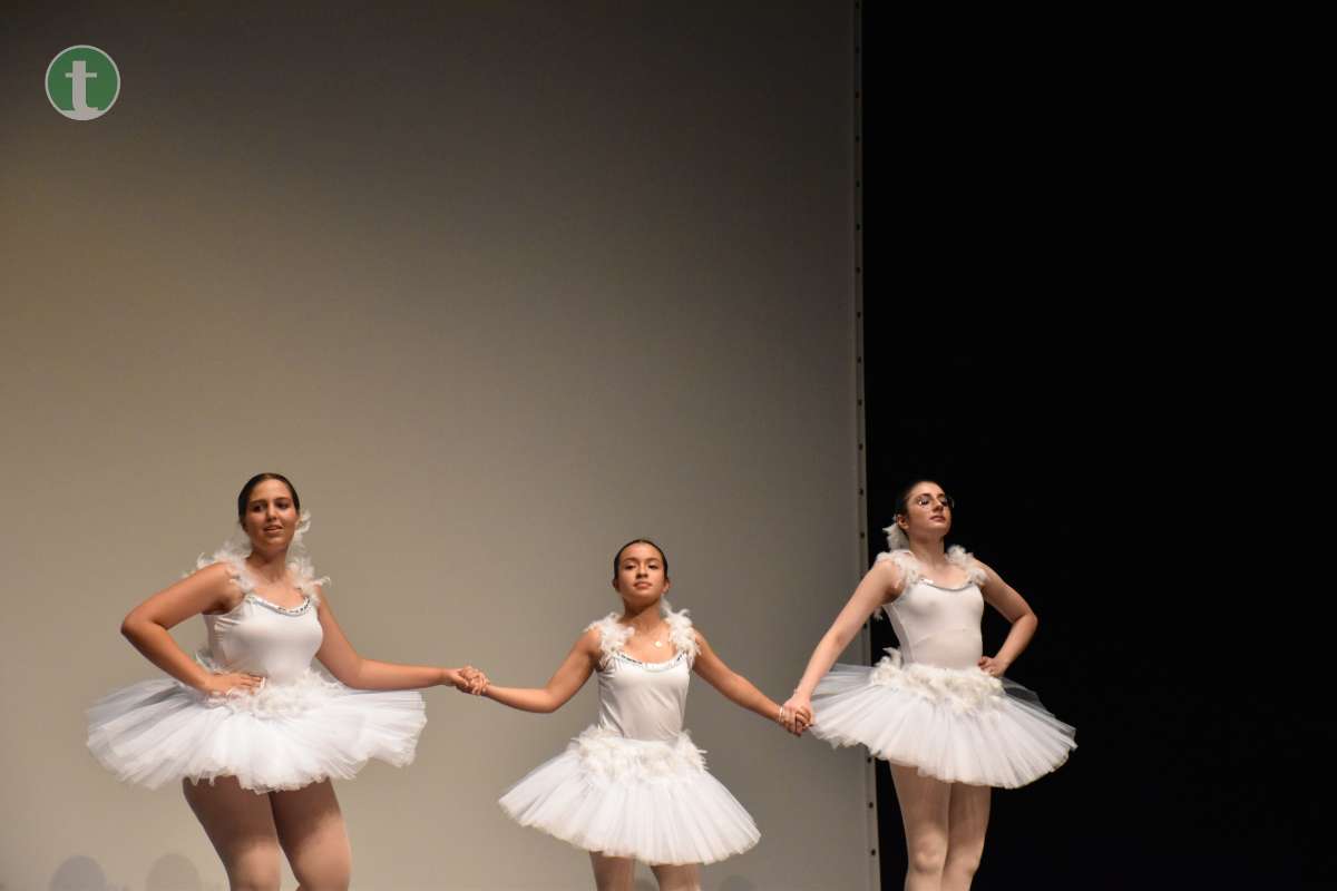 Gran acogida a la Gala de la Danza en el Teatro Municipal de Tomelloso