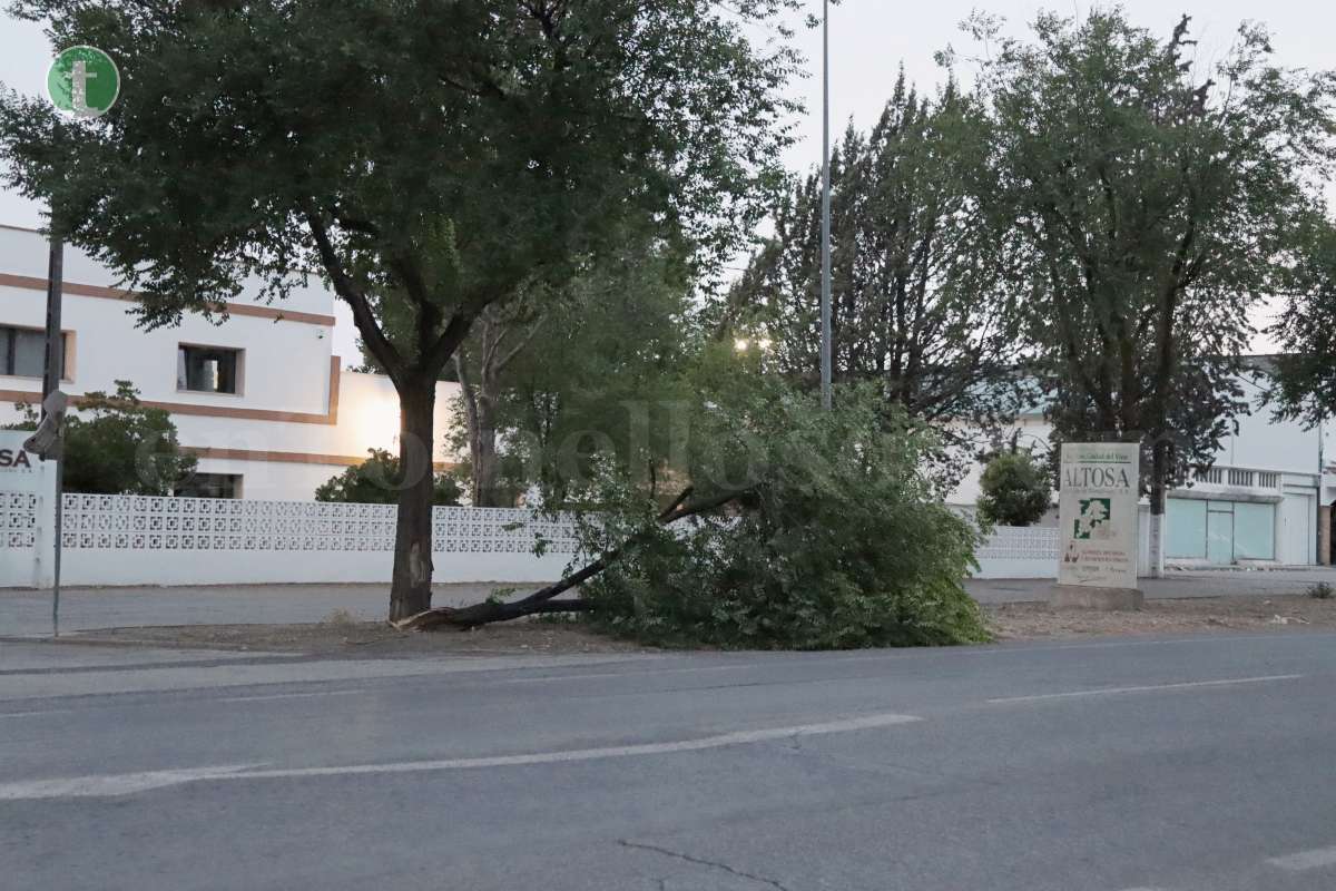 Fuertes rachas de viento provocan destrozos este jueves en Tomelloso