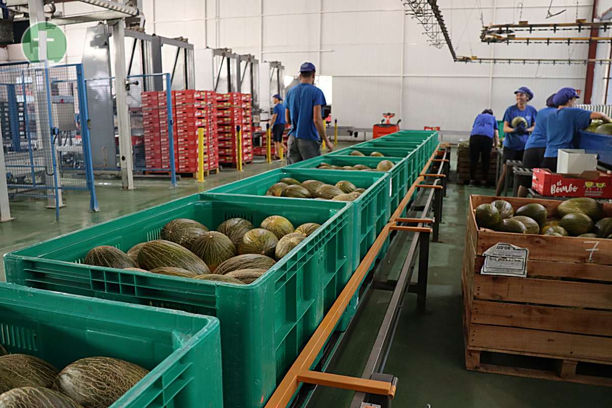 Melones de Tomelloso por toda Europa