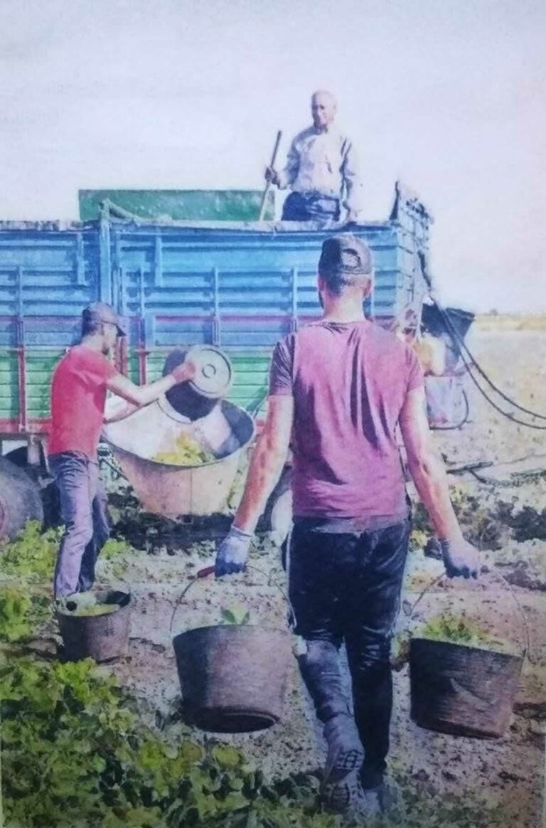 A remate de vendimias