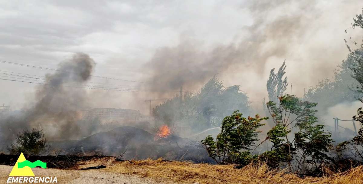 Extinguido un incendio en la salida de Tomelloso hacia La Alavesa