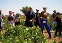 «Dóblate», la nueva canción de Agustín Durán que parodia la vendimia a ritmo del ‘hit’ del verano y grabada en Tomelloso