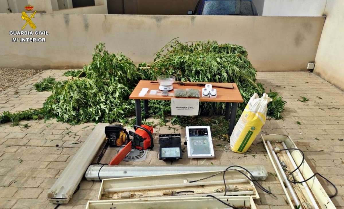 La Guardia Civil detiene a una persona en Argamasilla de Alba por cultivo de marihuana