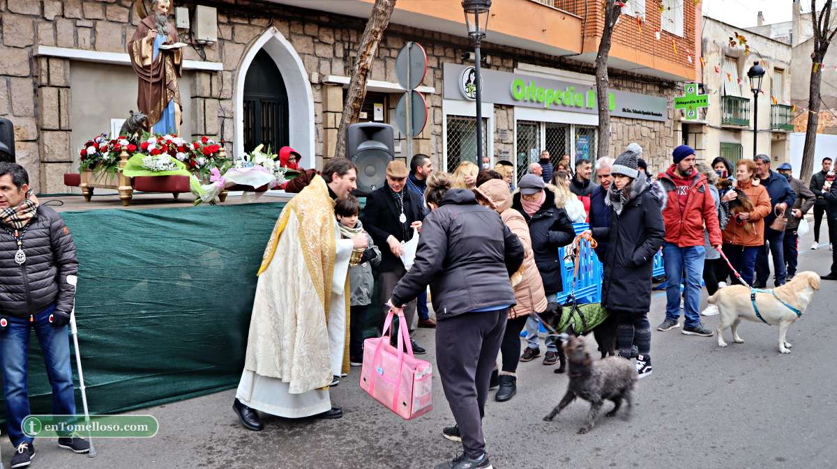 Cientos de animales participan en Tomelloso en la bendición de San Antón