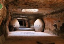 Aprobados 43,8 millones para planes de sostenibilidad y proyectos enogastronómicos en la región