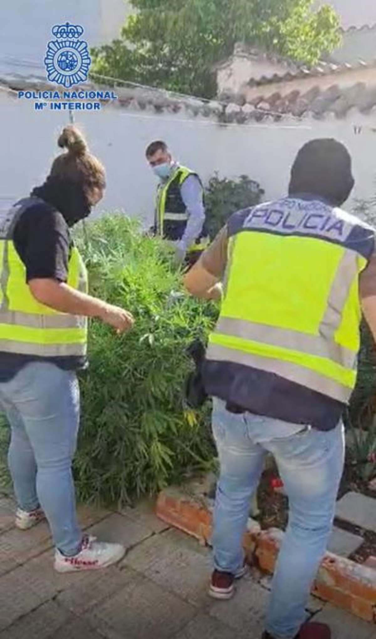 La Policía Nacional desmantela un importante punto de venta de drogas en Valdepeñas