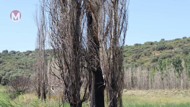 Algunas zonas de Tomelloso, en riesgo extremo de incendio este miércoles