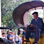 Viesta-de-la-Vendimia-Tradicional-Tomelloso-2023-003