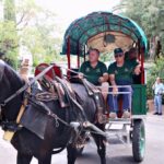 Viesta-de-la-Vendimia-Tradicional-Tomelloso-2023-010