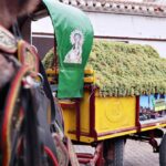 Viesta-de-la-Vendimia-Tradicional-Tomelloso-2023-013