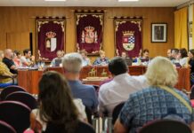 El pleno de Argamasilla de Alba aprueba solicitar al Gobierno regional una UCI para el Hospital de Tomelloso