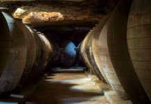 El Aula Digital de la Cultura del Vino suma 70 matrículas en Tomelloso 10k Ciudad de Tomelloso 2025