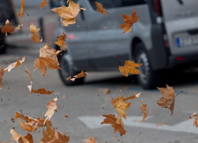 viento-hojas-otono-2023-01-17_09-50