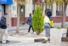 El paro vuelve a bajar en Tomelloso en enero, aunque sube el desempleo femenino